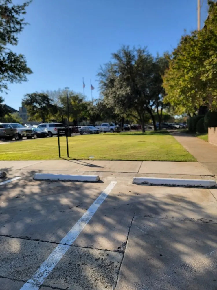 Expert landscape installation for beautiful yards across Arlington, TX - Brothers Lawn Care