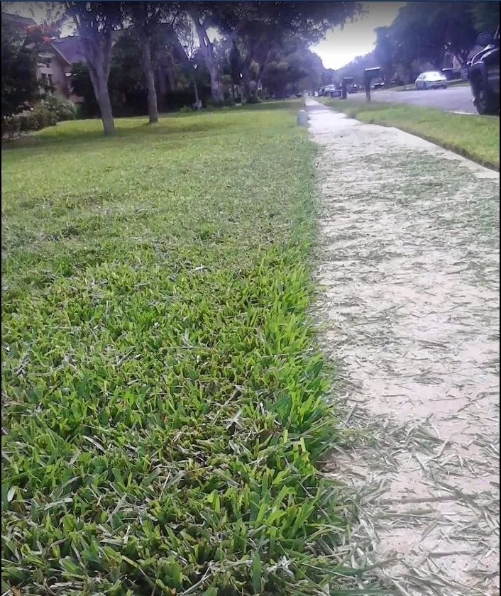 Professional lawn care service near you in Corpus Christi, TX by Brothers Lawn Care