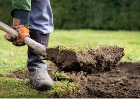 Expert landscape design in Dallas, TX by Brother's Lawn Care