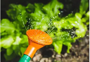 Affordable garden landscaping experts serving Dallas, TX - Brother's Lawn Care