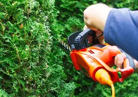 Affordable landscape installation in Dallas, TX by Brother's Lawn Care