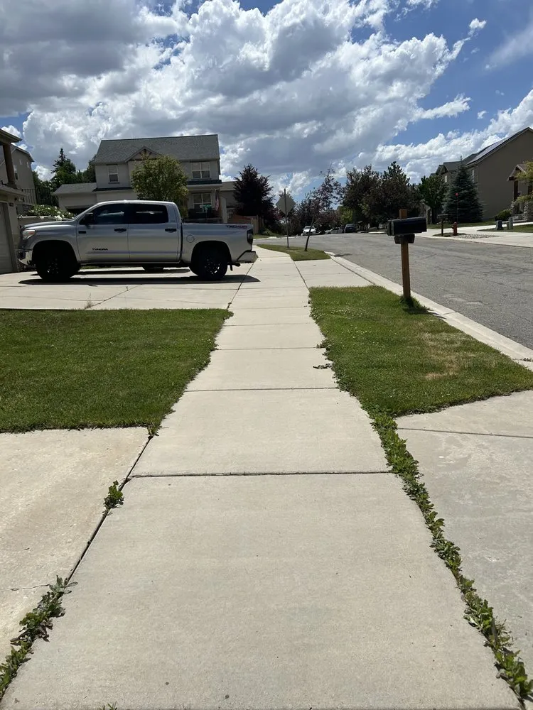 Local landscape installation in Draper, UT - Brothers Lawn Care