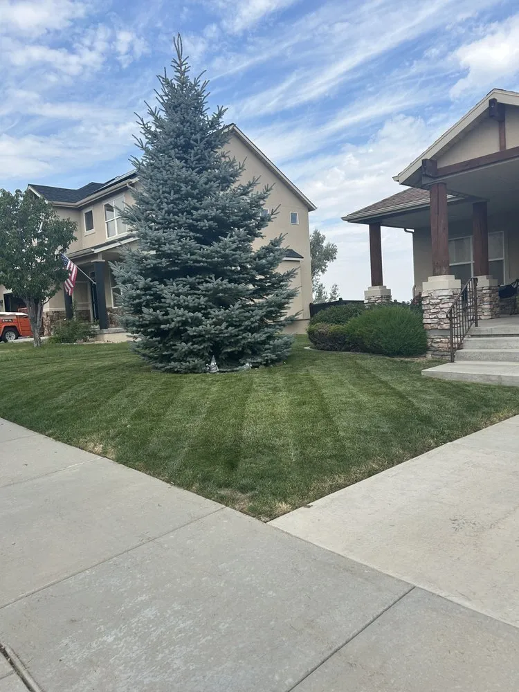 Reliable residential landscaping in Draper, UT by Brothers Lawn Care