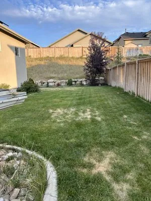 Brothers Lawn Care Logo