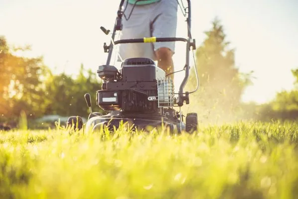 Brothers Lawn Care Logo