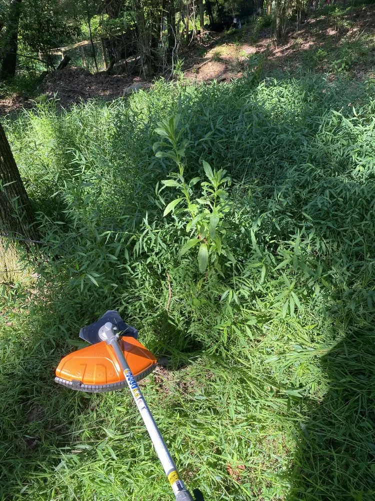 Professional landscape installation in Helena, AL by Brothers Lawn Care