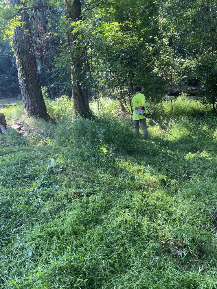 Professional yard cleanup service in Helena, AL - Brothers Lawn Care