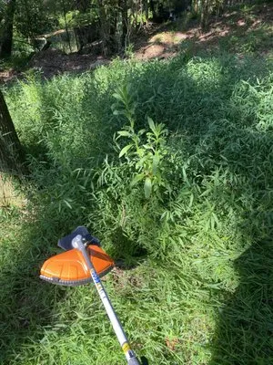 Brothers Lawn Care Logo