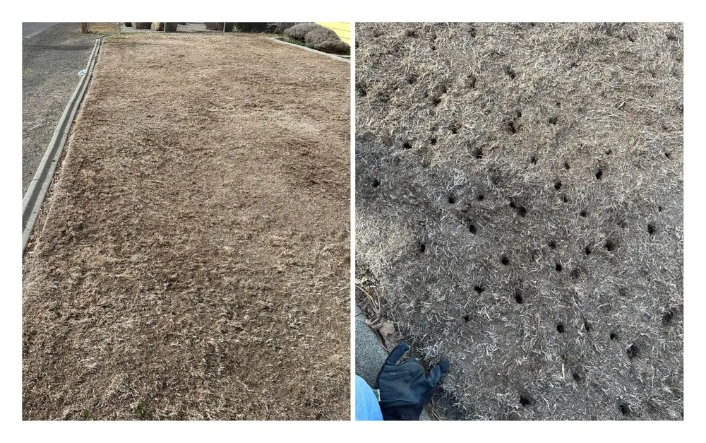 Trusted yard maintenance for year-round maintenance across Kennewick, WA - Brothers Lawn care