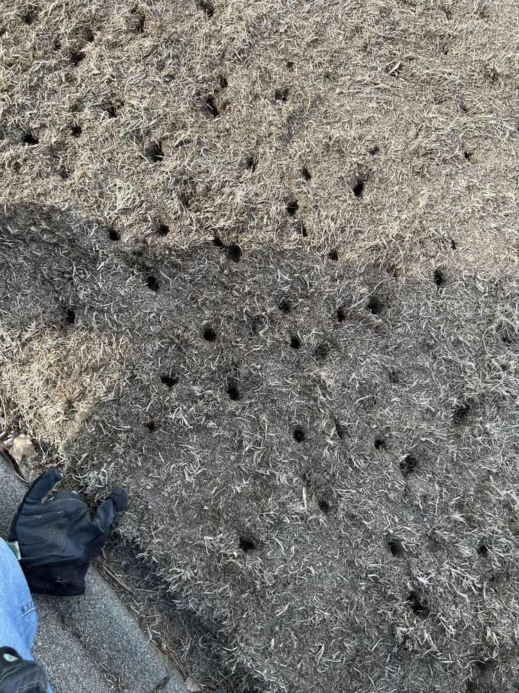 Custom landscaping services with custom design across Kennewick, WA - Brothers Lawn care