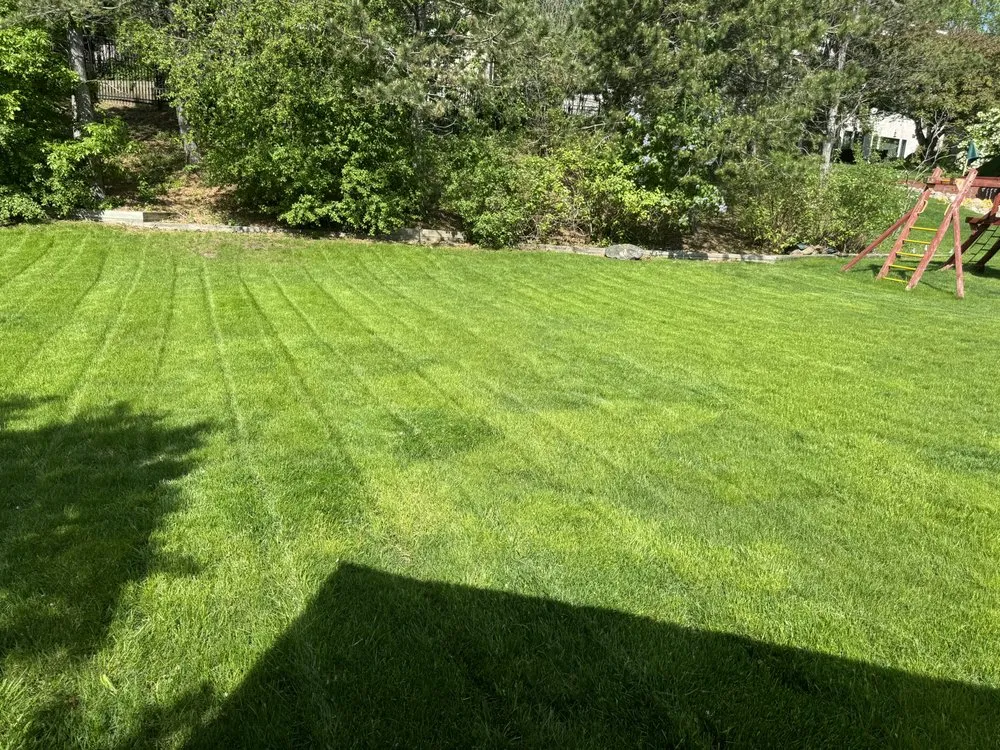 Affordable landscape design in Minneapolis, MN - Brothers Lawn Care