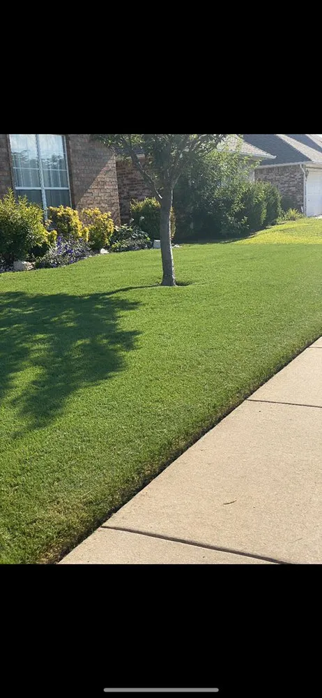 Local lawn care service in Oklahoma City, OK by Brothers lawn care