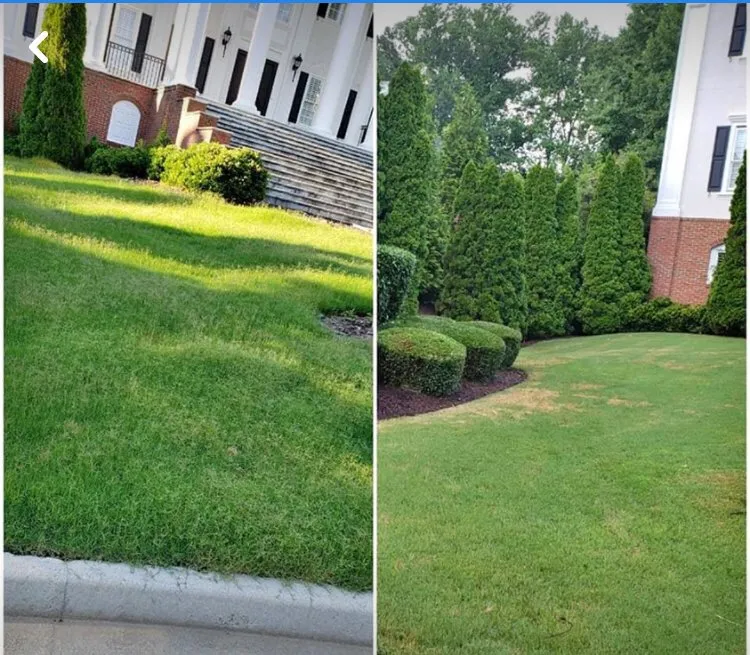 Top-rated yard cleanup service for homes across Riverdale, GA - Brothers Lawn Care