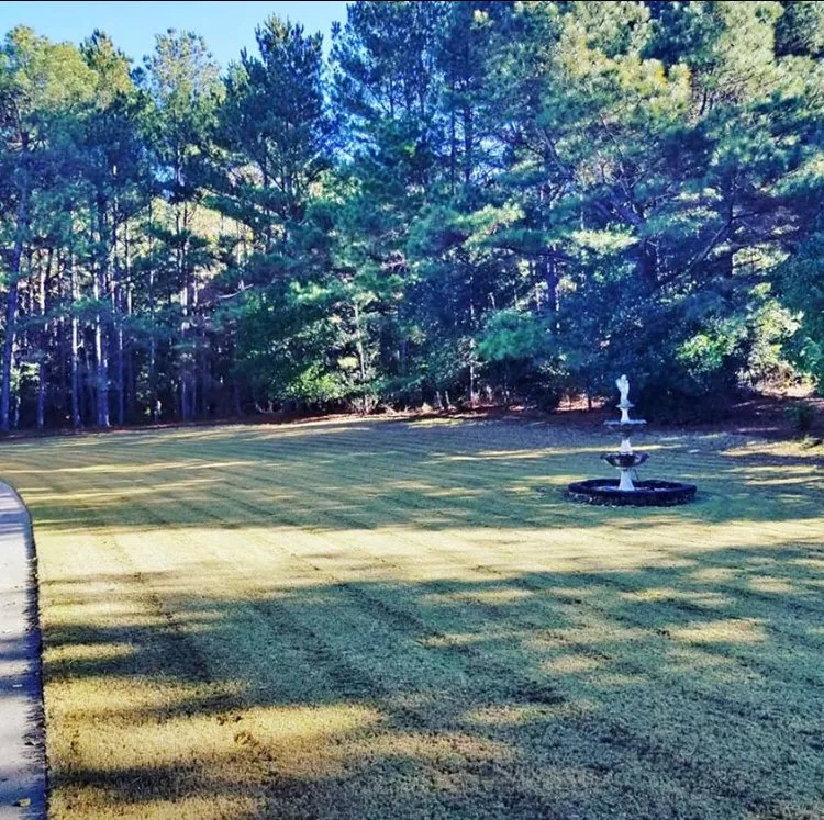 Reliable landscape design for homes in Riverdale, GA by Brothers Lawn Care