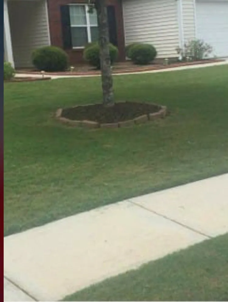 Top-rated yard cleanup service experts serving Riverdale, GA - Brothers Lawn Care