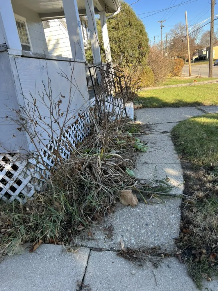 Reliable landscape installation in Belvidere, IL - Brother‘s Lawn Care Service