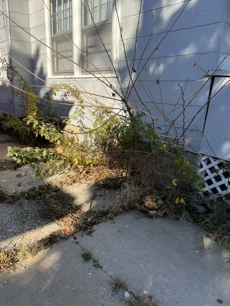 Custom yard maintenance in Belvidere, IL by Brother‘s Lawn Care Service