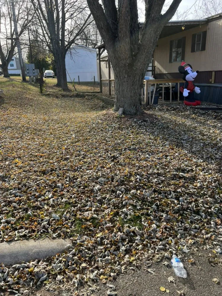 Local yard maintenance experts serving Belvidere, IL - Brother‘s Lawn Care Service