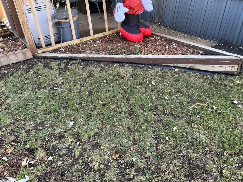 Professional yard cleanup service in Belvidere, IL by Brother‘s Lawn Care Service