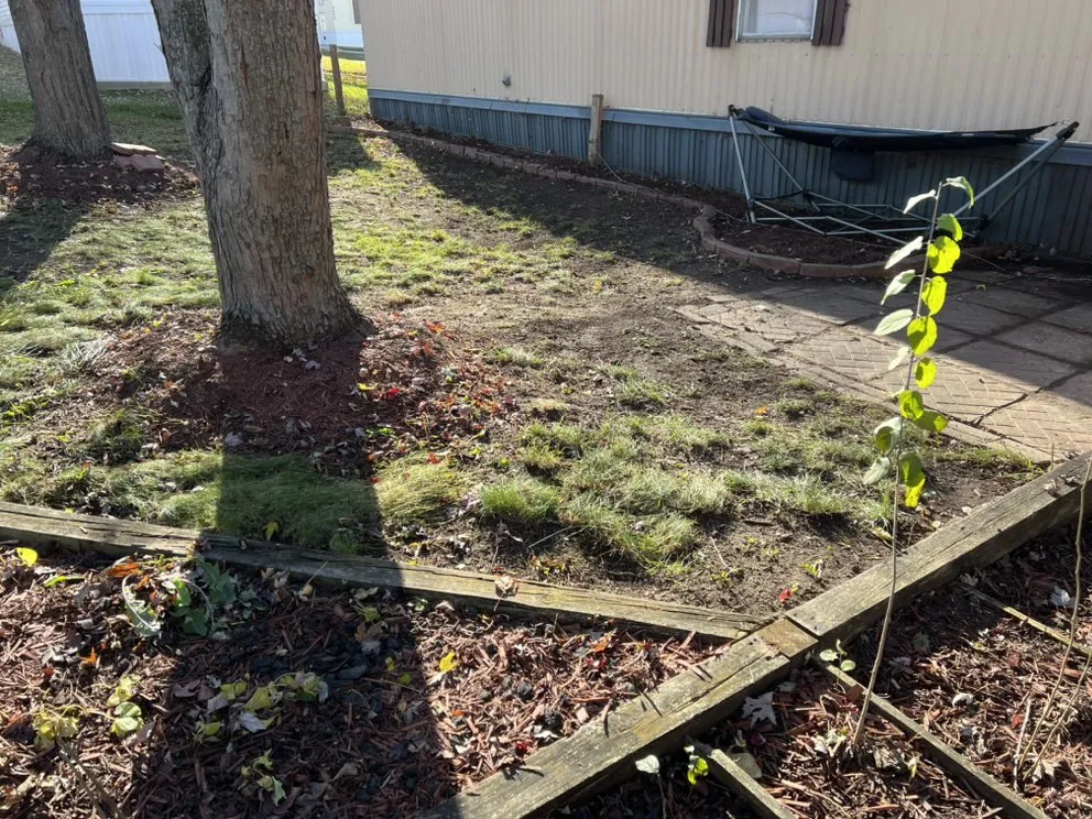 Top-rated yard cleanup service for homes across Belvidere, IL - Brother‘s Lawn Care Service