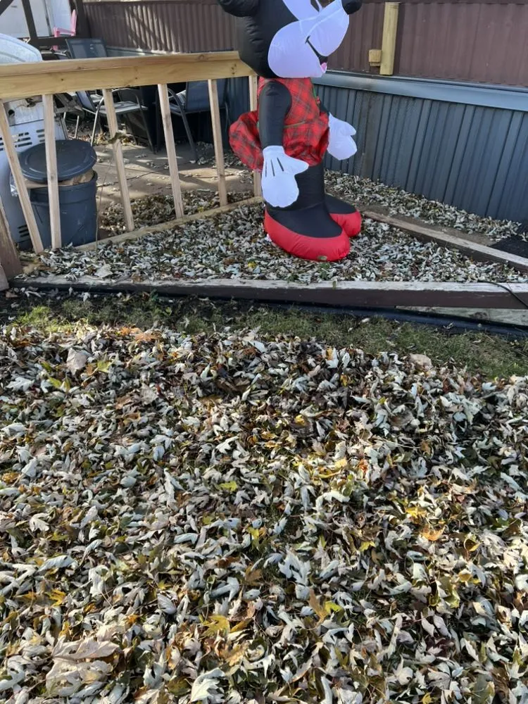 Affordable landscaping services for beautiful yards across Belvidere, IL - Brother‘s Lawn Care Service