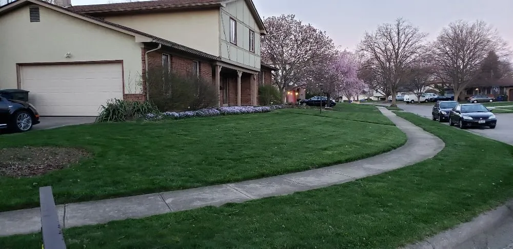 Trusted residential landscaping for beautiful yards across Columbus, OH - Brothers Lawn Care Services