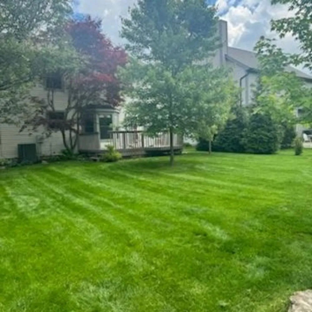 Professional outdoor landscaping in Columbus, OH - Brothers Lawn Care Services