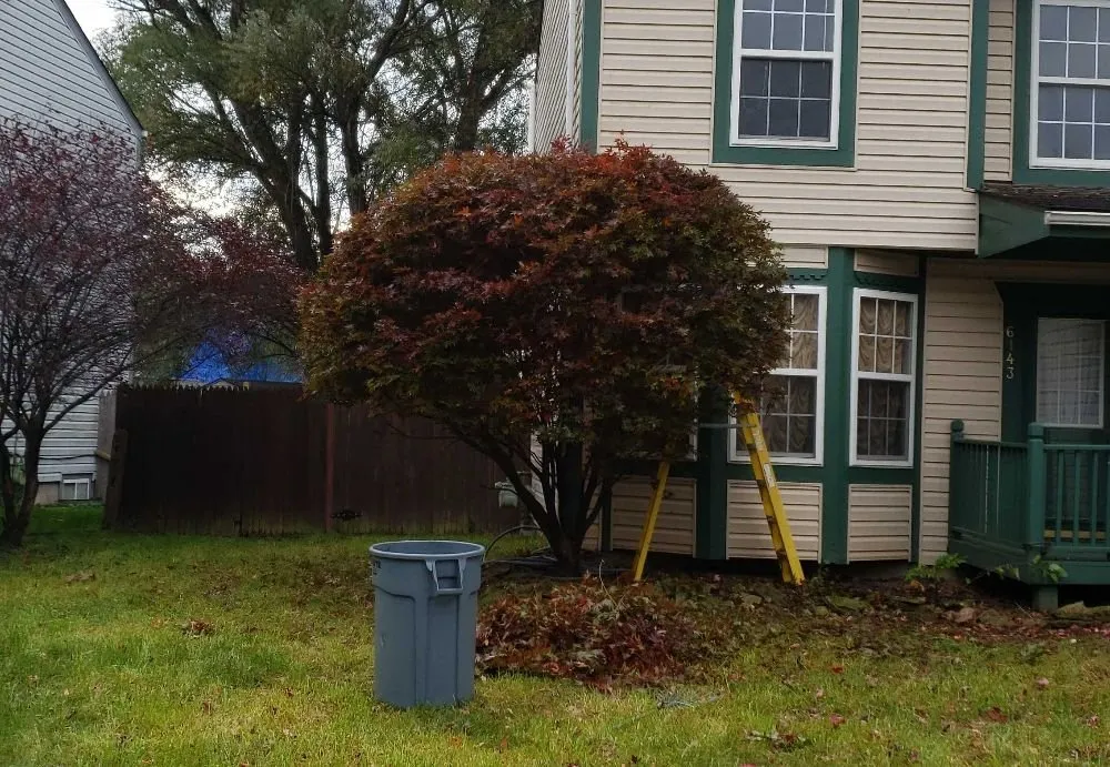 Custom residential landscaping for outdoor upgrades across Columbus, OH - Brothers Lawn Care Services