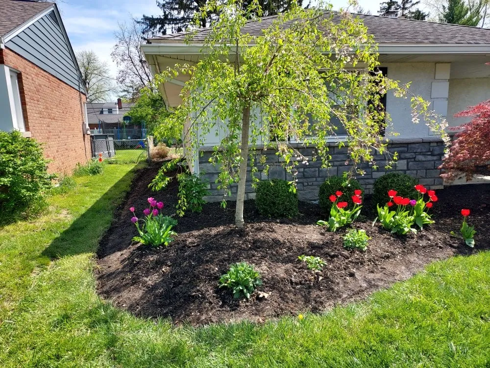 Top-rated outdoor landscaping near you across Columbus, OH - Brothers Lawn Care Services