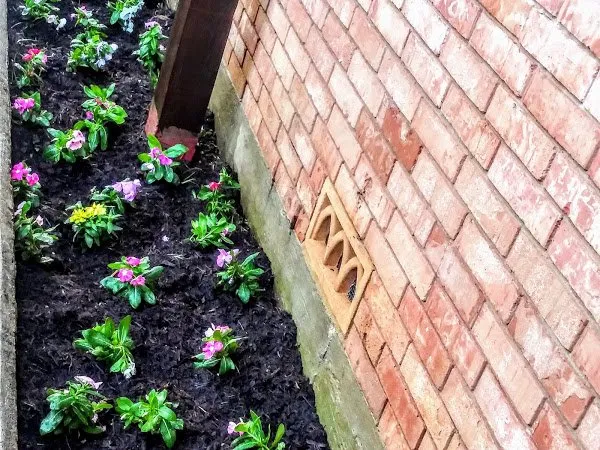 Reliable lawn care service experts serving Waco, TX - Brothers Lawn Care