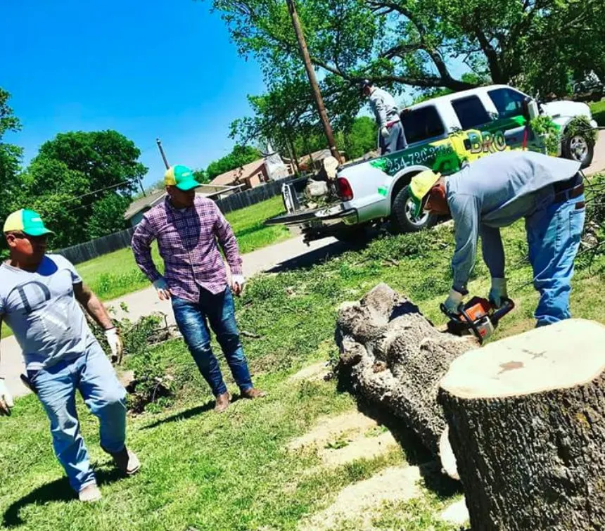 Affordable yard cleanup service experts serving Waco, TX - Brothers Lawn Care