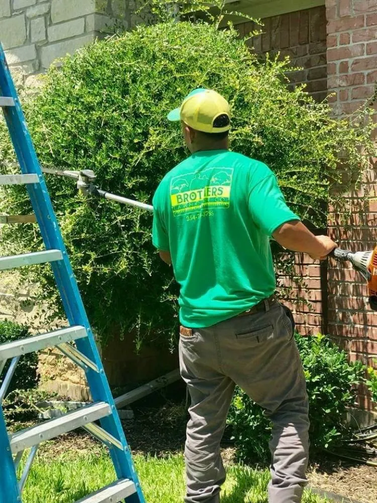 Affordable yard cleanup service experts serving Waco, TX - Brothers Lawn Care