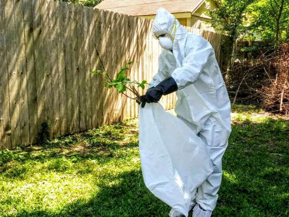 Affordable lawn care service experts serving Waco, TX - Brothers Lawn Care