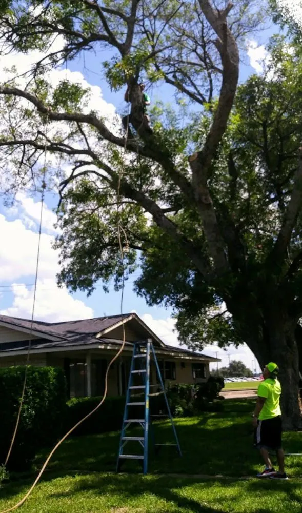 Local garden landscaping with custom design in Waco, TX by Brothers Lawn Care