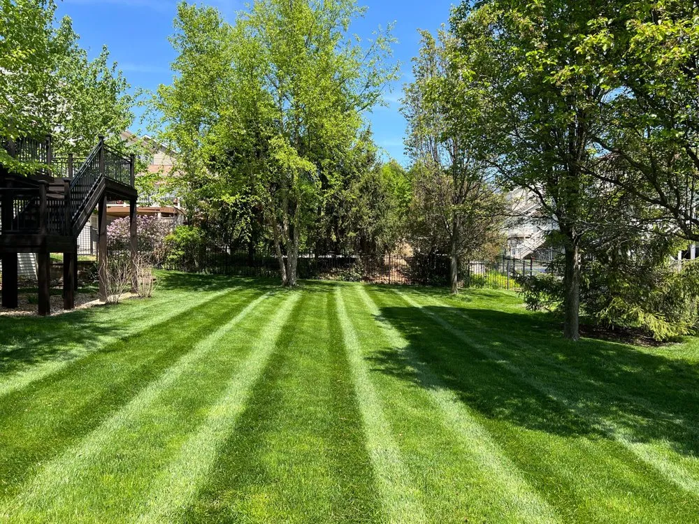 Trusted outdoor landscaping for outdoor upgrades in St Peter's, MO by Brother's Lawn Maintenance