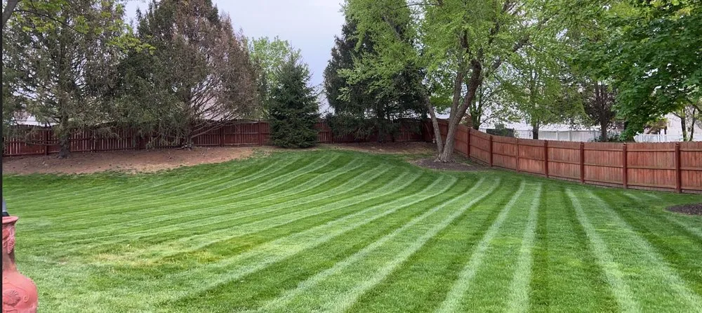 Professional lawn mowing service in St Peter's, MO by Brother's Lawn Maintenance