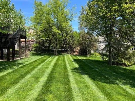 Brother's Lawn Maintenance