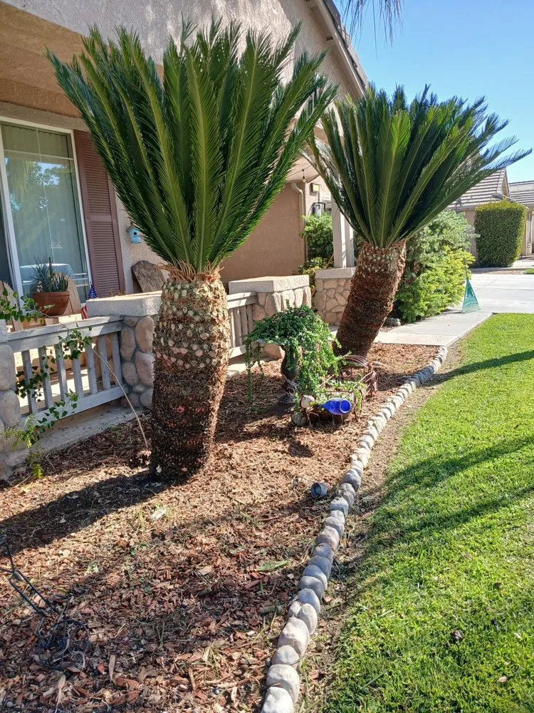 Affordable lawn care service experts serving Hanford, CA - Brothers Lawn Service