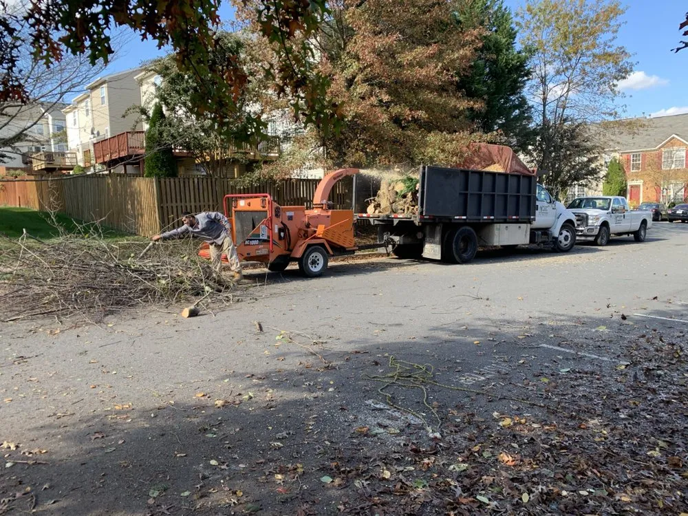 Trusted yard cleanup service in Manassas, VA - Brothers Lawn Service