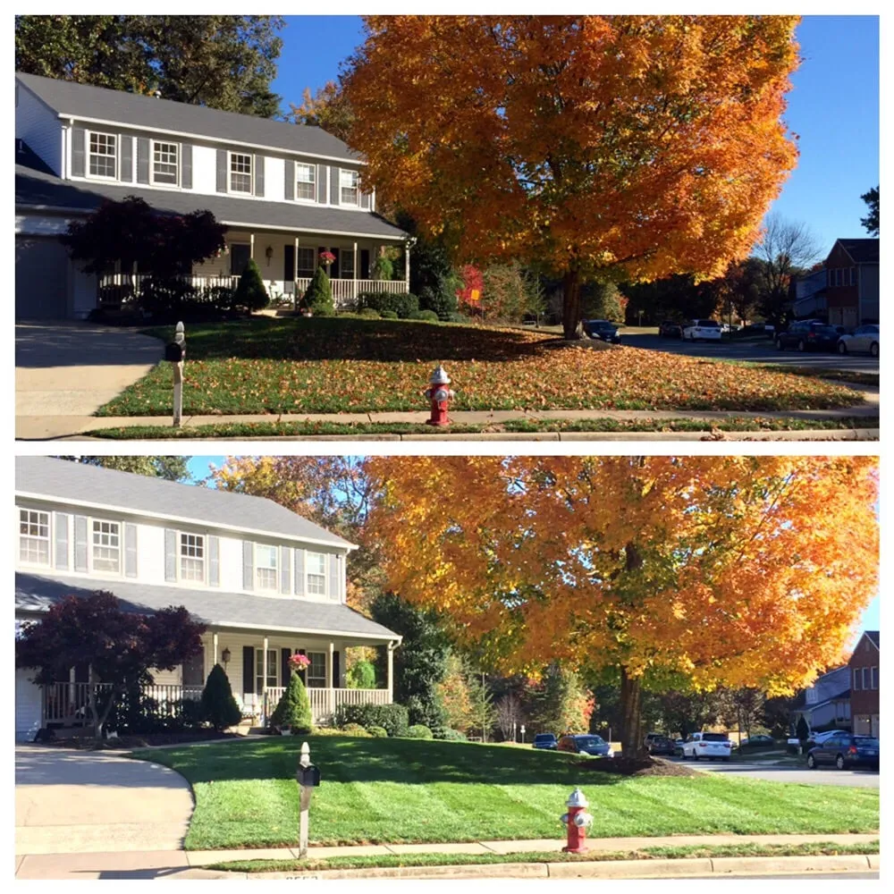 Affordable yard cleanup service experts serving Manassas, VA - Brothers Lawn Service