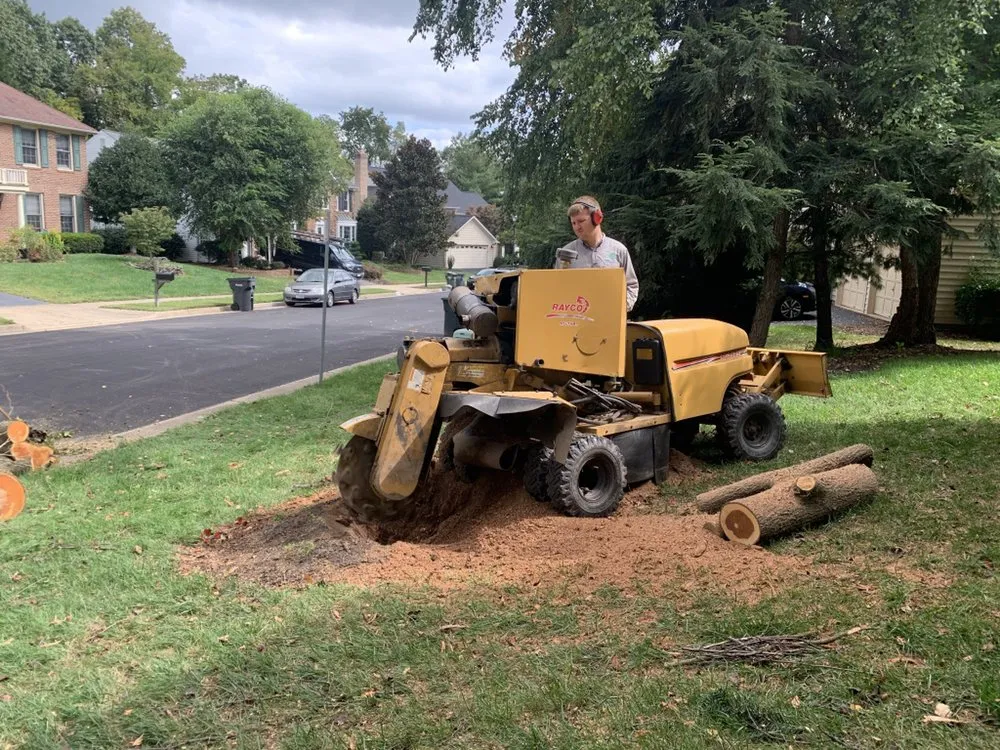 Trusted garden landscaping in Manassas, VA - Brothers Lawn Service