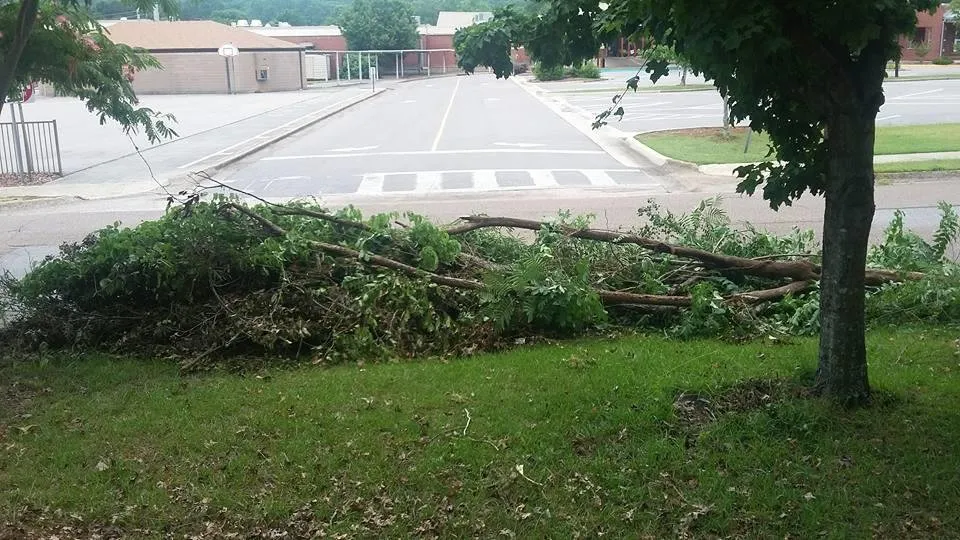 Expert residential landscaping in Huntsville, AL by Brothers Lawncare Services