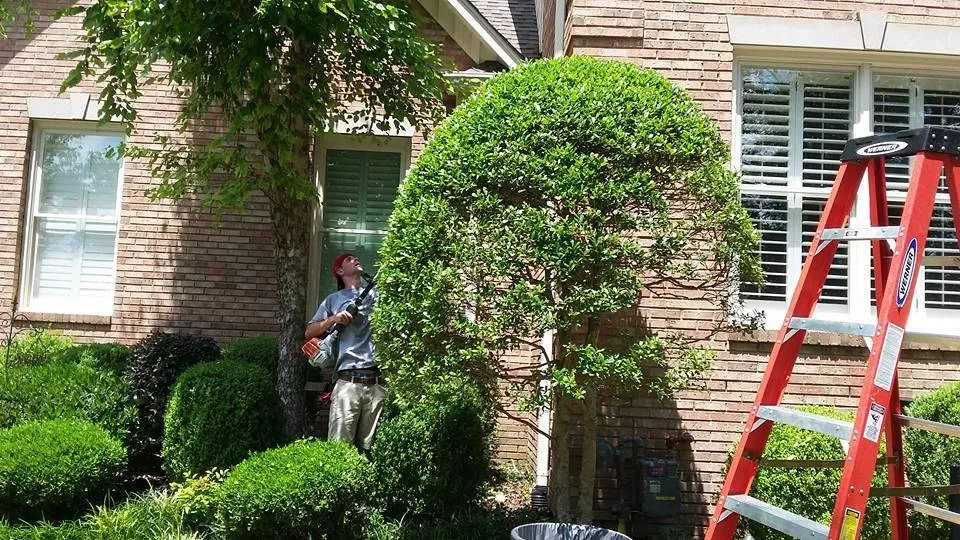 Reliable lawn mowing service in Huntsville, AL by Brothers Lawncare Services