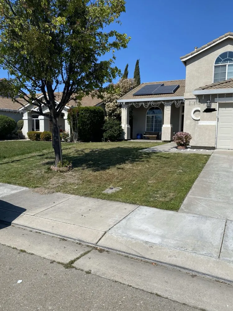 Local landscape installation for residential properties in Stockton, CA by Brothers Lawnkare