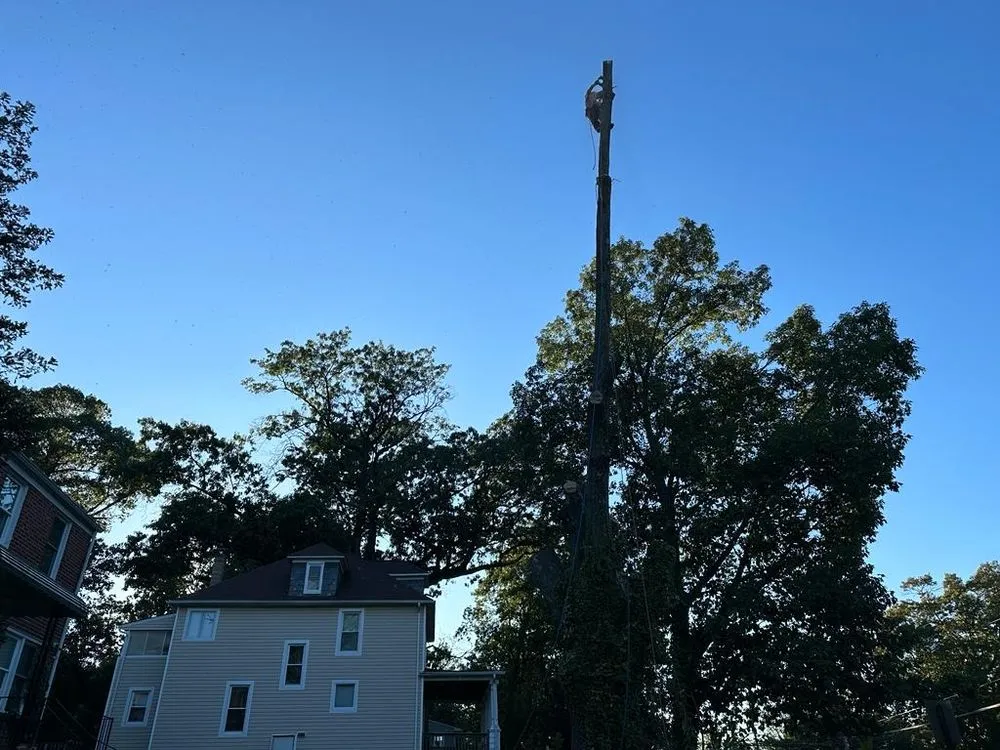 Custom lawn care service in Baltimore, MD by Brothers Leiva Landscaping