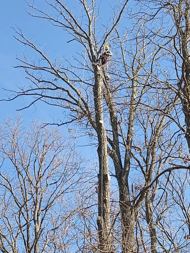 Reliable lawn care service near you in Baltimore, MD by Brothers Leiva Landscaping