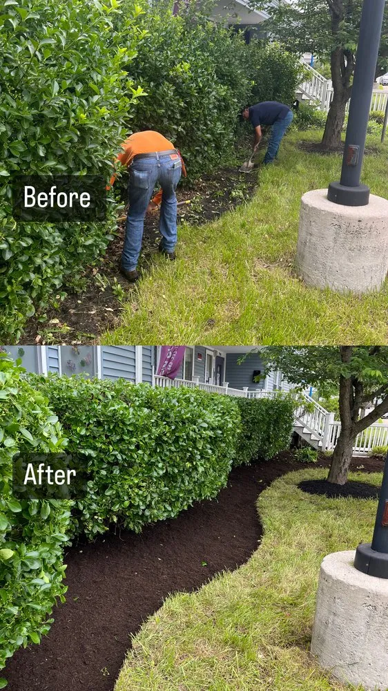 Top-rated lawn care service experts serving Baltimore, MD - Brothers Leiva Landscaping