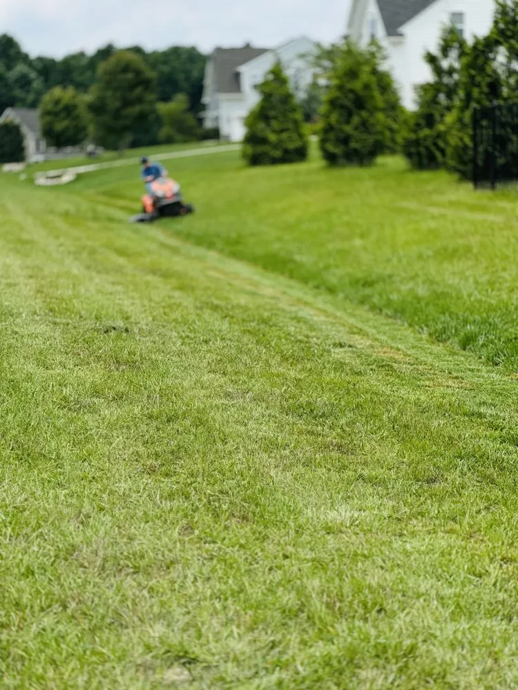 Professional garden landscaping in Stallings, NC by Brothers Mowing