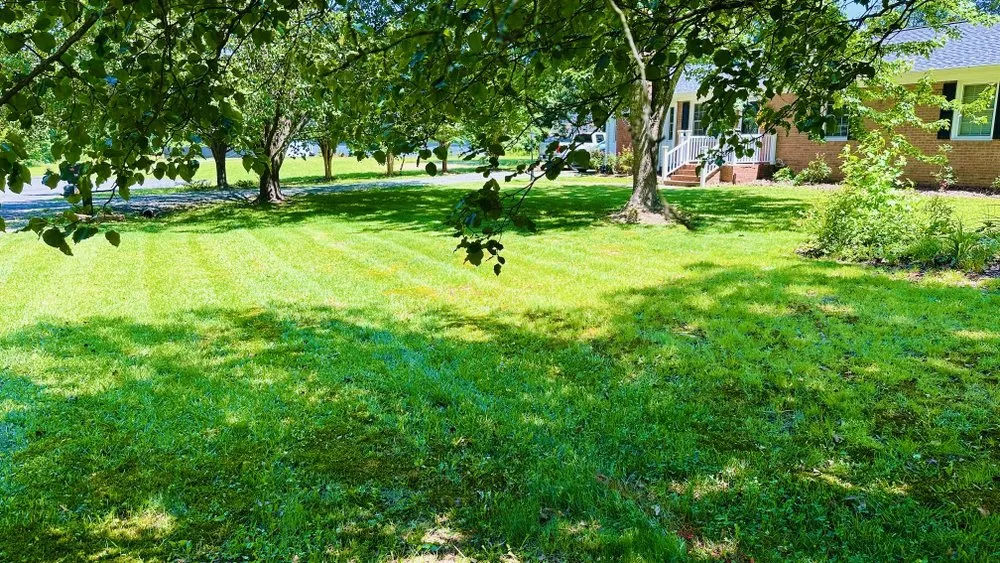Local residential landscaping for year-round maintenance across Stallings, NC - Brothers Mowing