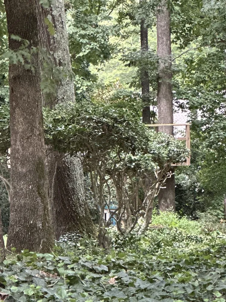 Local lawn care service with custom design across Stallings, NC - Brothers Mowing